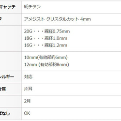 アメジスト クリスタル セカンドピアス 4mm 純チタン つけっぱなし 【4-32】 金属アレルギー BlueHill 4枚目の画像