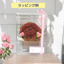 再販★フラワーペット【トイプードル】プリザーブドフラワー 犬 花 カーネーション 母の日 誕生日 送別品 お祝い お供え 9枚目の画像