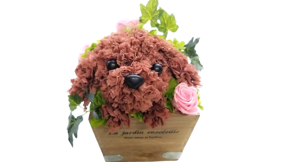 再販★フラワーペット【トイプードル】プリザーブドフラワー 犬 花 カーネーション 母の日 誕生日 送別品 お祝い お供え 2枚目の画像