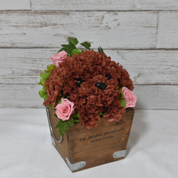 再販★フラワーペット【トイプードル】プリザーブドフラワー 犬 花 カーネーション 母の日 誕生日 送別品 お祝い お供え 8枚目の画像