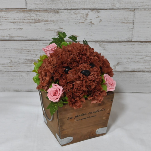 再販☆フラワーペット【トイプードル】プリザーブドフラワー 犬 花