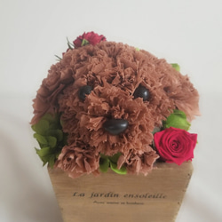 再販★フラワーペット【トイプードル】プリザーブドフラワー 犬 花 カーネーション 母の日 誕生日 送別品 お祝い お供え 6枚目の画像