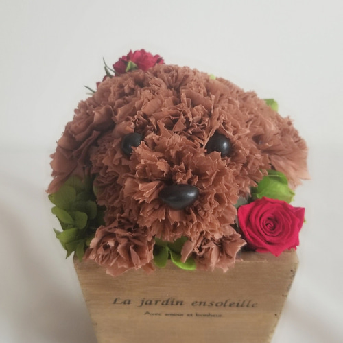 再販☆フラワーペット【トイプードル】プリザーブドフラワー 犬 花