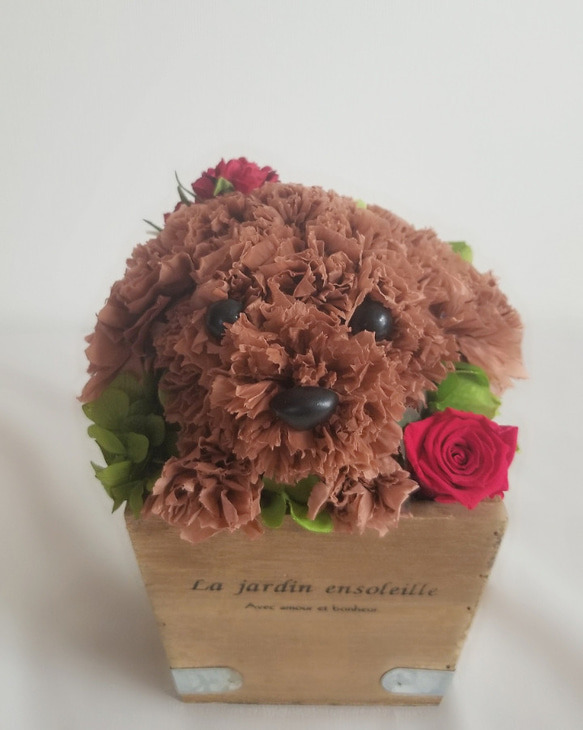 再販★フラワーペット【トイプードル】プリザーブドフラワー 犬 花 カーネーション 母の日 誕生日 送別品 お祝い お供え 6枚目の画像