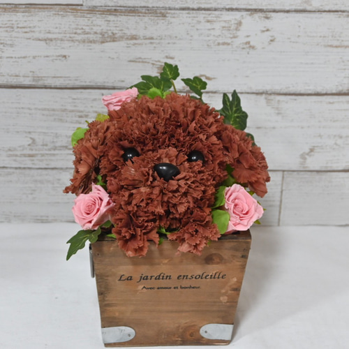 再販☆フラワーペット【トイプードル】プリザーブドフラワー 犬 花