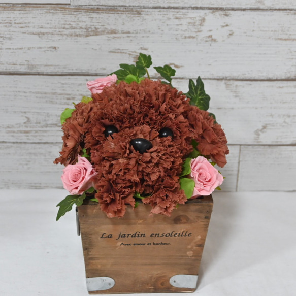 再販★フラワーペット【トイプードル】プリザーブドフラワー 犬 花 カーネーション 母の日 誕生日 送別品 お祝い お供え 7枚目の画像