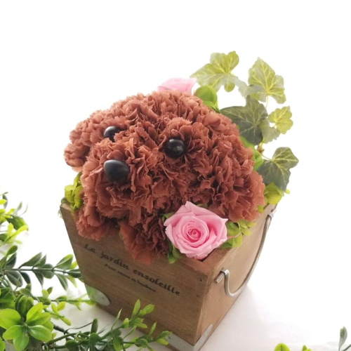 再販☆フラワーペット【トイプードル】プリザーブドフラワー 犬 花