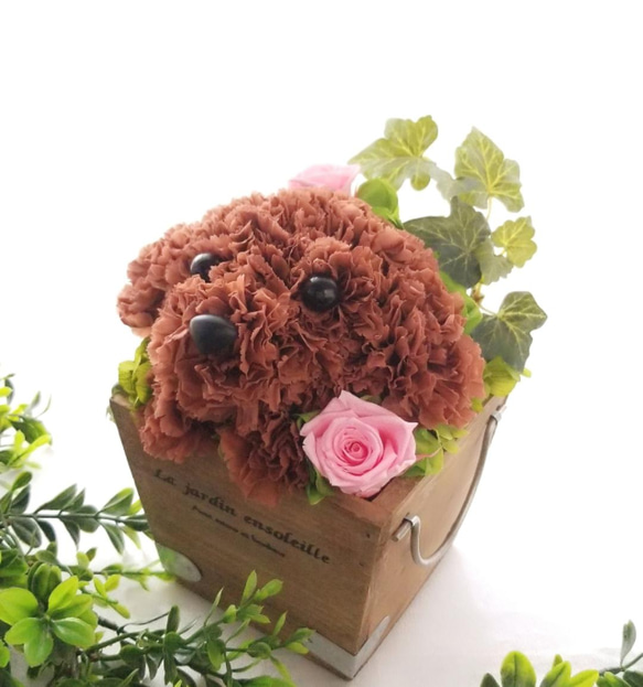 再販★フラワーペット【トイプードル】プリザーブドフラワー 犬 花 カーネーション 母の日 誕生日 送別品 お祝い お供え 5枚目の画像