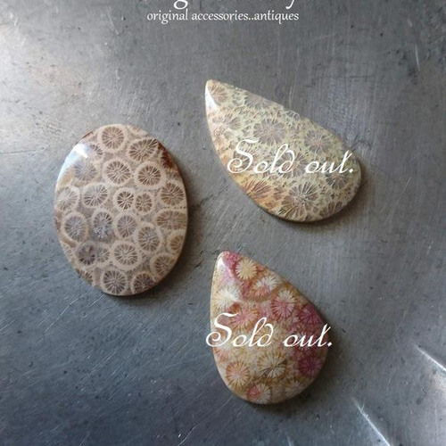 PetrifiedCoral】ペトリファイドコーラル（珪化サンゴ）｜天然石