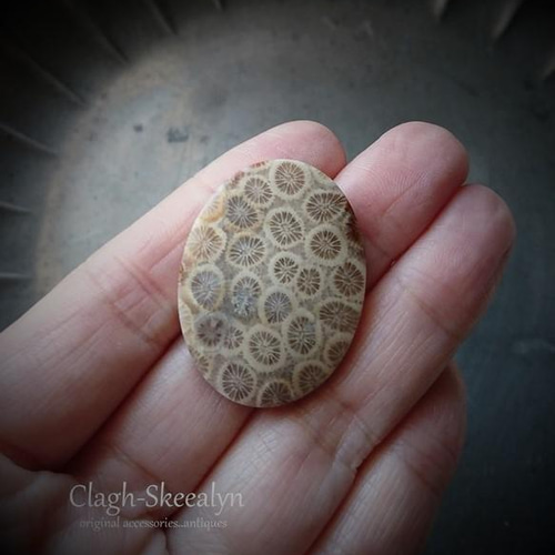 PetrifiedCoral】ペトリファイドコーラル（珪化サンゴ）｜天然石ルース