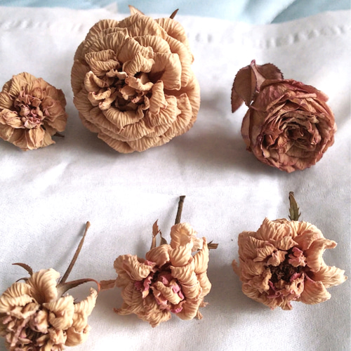 ❇️ドライフラワー❣️ミニバラ ミニバラのドライフラワー❀ピンク系8個セット ドライフラワー