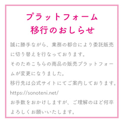 パスケース　ギンガムチェック　5 ピンク【受注生産】　#118-pc 2枚目の画像