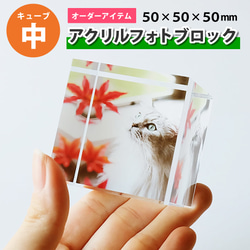廃番】KAREアクリルアートキュートドッグ80x70㎝ ウォール
