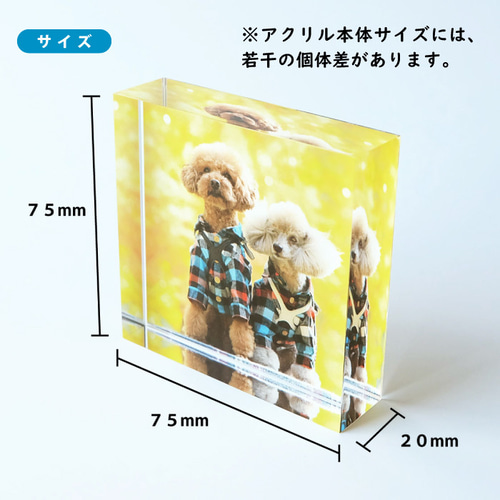 ブロック小（W75×H75×D20mm）】アクリルフォトブロック【受注