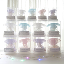 [Seasonal limited]  Jellyfish mobile white set 第7張的照片