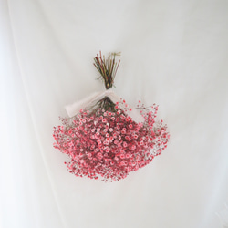 母の日ギフト【特集掲載】red baby's breath swag　かすみそう　ドライフラワー　母の日インテリア 2枚目の画像