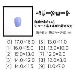  第5張的照片