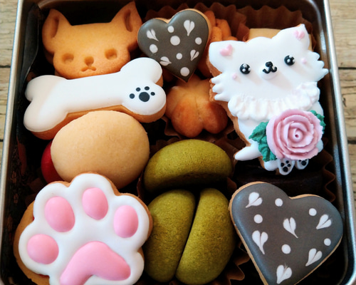 楽天市場】ぬいぐるみ 犬 白 チワワ クリーム アイボリー プチお