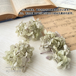 ピラミッドあじさい　オレガノパープル　こわけ　【 プリザーブドフラワー 】 紫陽花　アジサイ 4枚目の画像