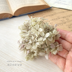 ピラミッドあじさい　オレガノパープル　こわけ　【 プリザーブドフラワー 】 紫陽花　アジサイ 3枚目の画像