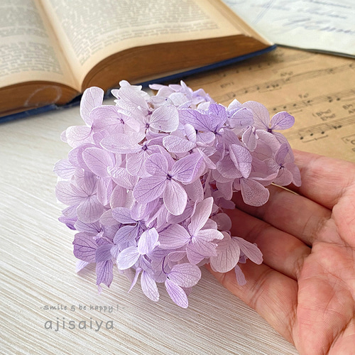 ピラミッドあじさい すみれパープル こわけ 【 プリザーブドフラワー