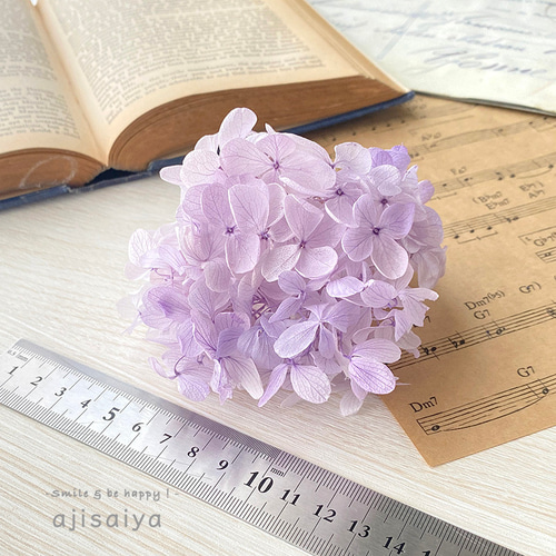 ピラミッドあじさい すみれパープル こわけ 【 プリザーブドフラワー