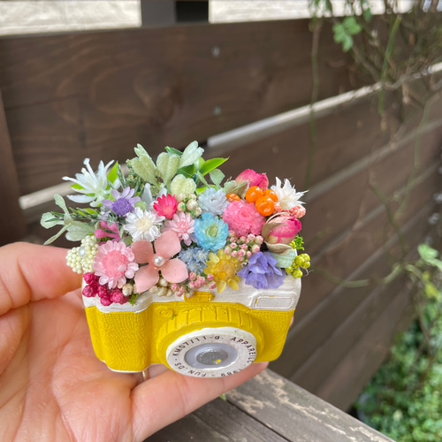 新作》＊.・.＊。mini mini カメラフラワーポット 