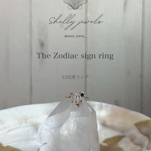 星座リング 星座 名前入りアクセサリー ネームアクセサリー 名前入り