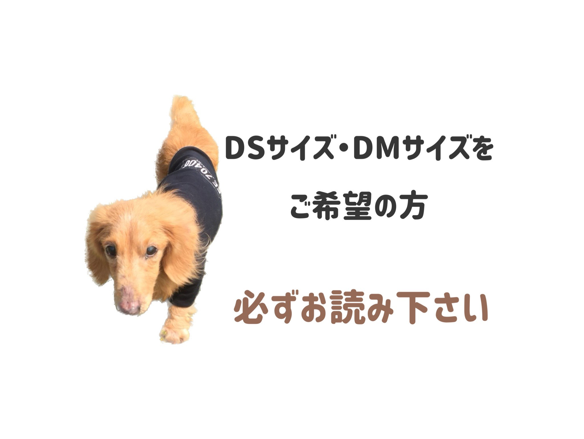 ＊DSサイズ・DMサイズをご希望の方＊