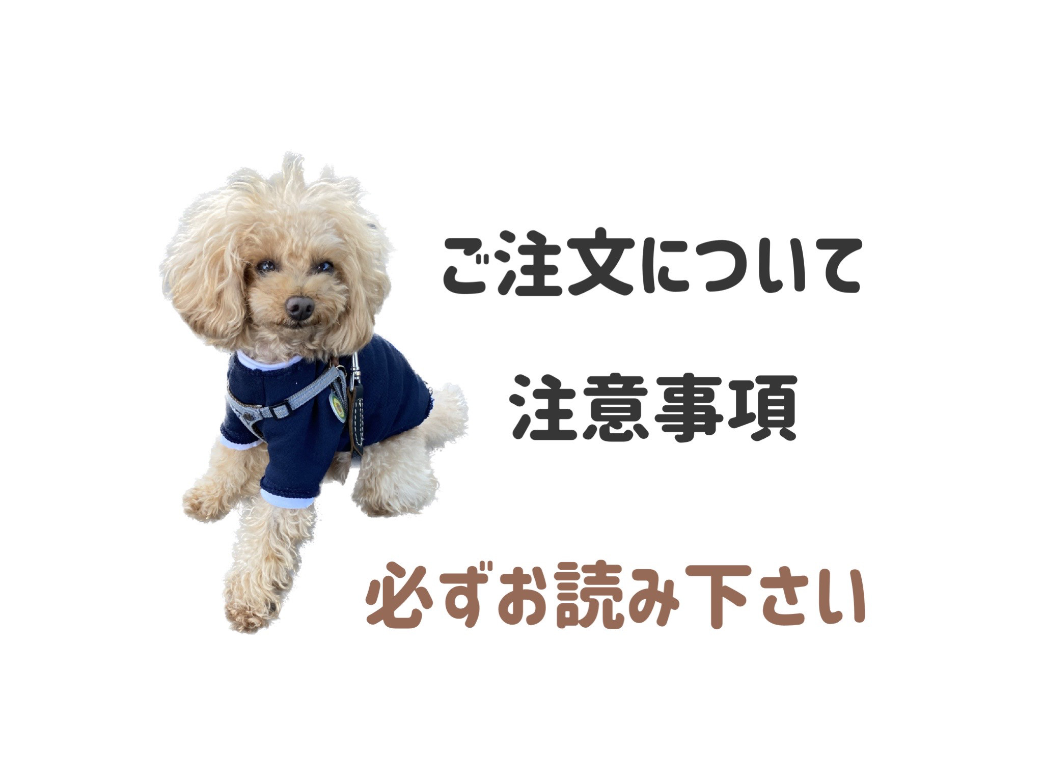 ＊ご注文について　注意事項＊