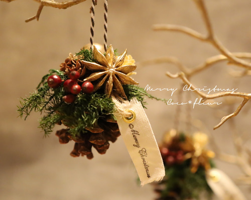 46b01b7e9e3fbc7bae88f77700e78d