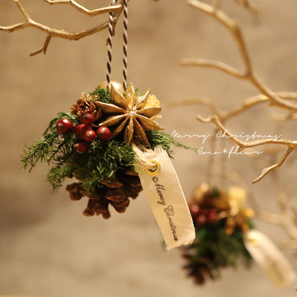 星に願いを☆Xmasオーナメント プリザーブドフラワー Coco fleur 通販