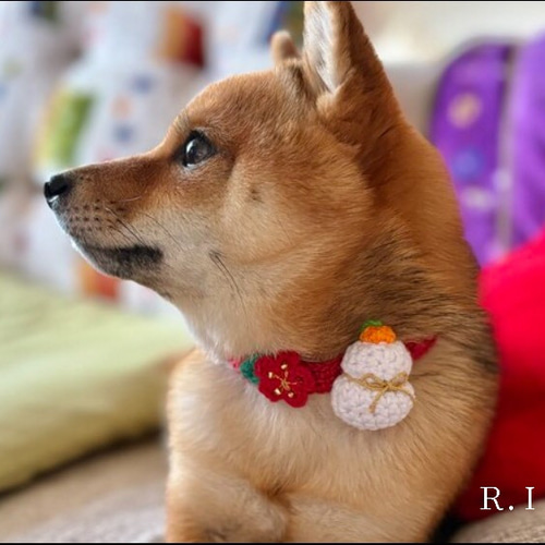 2026 お正月 鏡餅 コットン首輪 ☆小型犬＆猫の首輪☆ リード・首輪