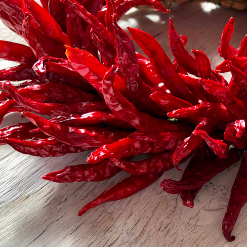 唐辛子リース Mサイズ インテリア お正月飾り リース ネコファーム