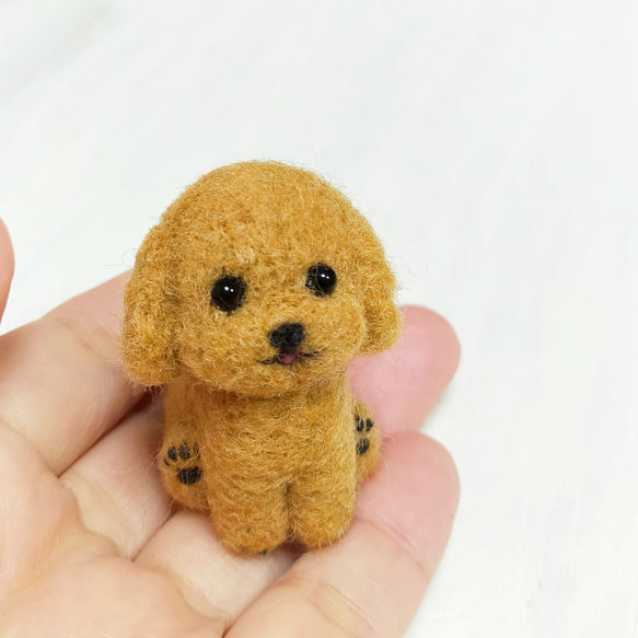 □羊毛フェルトの小さなわんこ(プードル・アプリコット) 羊毛