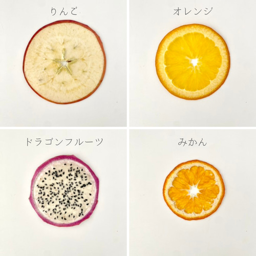 手作りキット】押しフルーツ（6種×3枚）たっぷりセット