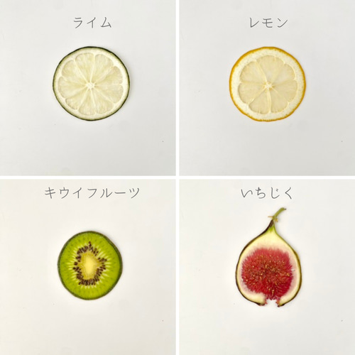 選べる押しフルーツセット その他素材 astin muhler 通販