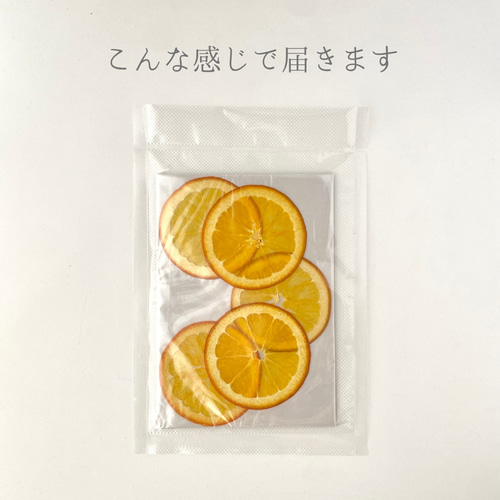 選べる押しフルーツセット その他素材 astin muhler 通販