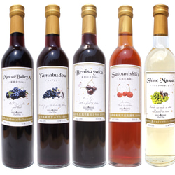 【ギフト】Higashine fruit wineの自由に選べる2本セット【500ml】 2枚目の画像