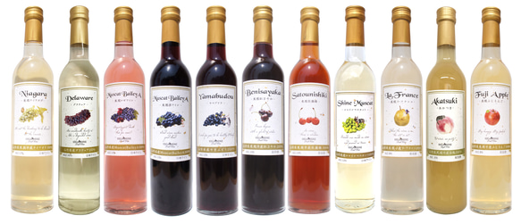 【ギフト】Higashine fruit wineの自由に選べる2本セット【500ml】 2枚目の画像