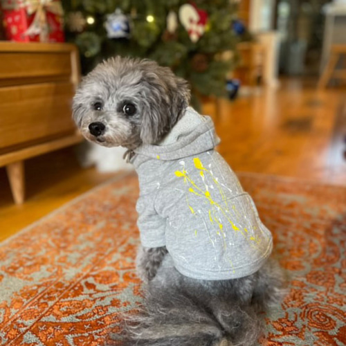 オンラインストア限定 ペイント加工グレー・袖フード付Tmrfw0306 #犬服