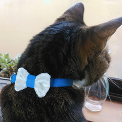 【受注製作】ベルベットリボンの猫ちゃん用首輪　全４色 8枚目の画像