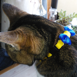 【受注製作】ベルベットリボンの猫ちゃん用首輪　全４色 2枚目の画像