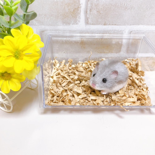 羊毛　ハムスター　ブルーサファイア まんまるハムスター（ブルーサファイア） 羊毛フェルト
