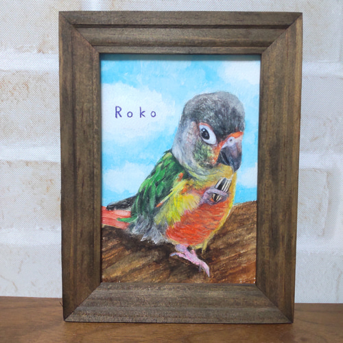 インコの水彩肖像画【手描き原画】（簡易額付/オーダー） 絵画