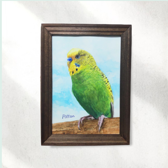 インコの水彩肖像画【手描き原画】（簡易額付/オーダー） 絵画