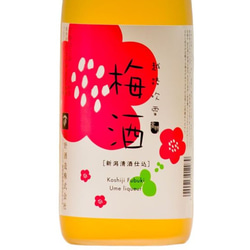 梅酒 日本酒仕込み 越路吹雪 720ml お酒 日本酒梅酒 新潟 高野酒造 4枚目の画像