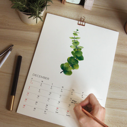 植物的靜默 2024年曆月曆掛曆 給植物愛好者的治癒新年禮物2 第5張的照片