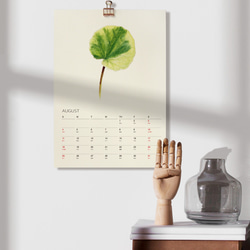 植物的靜默 2024年曆月曆掛曆 給植物愛好者的治癒新年禮物2 第6張的照片