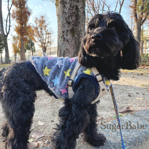 はっぴーDOG 犬 服 秋冬 秋 冬 犬服 おしゃれ フリース タンク